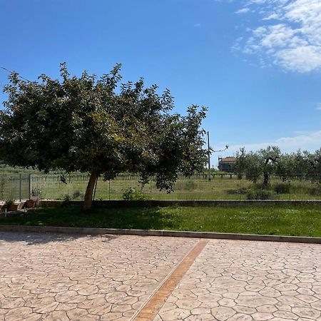 Вілла La Casa Di Michela Торіно-ді-Санґро Екстер'єр фото